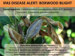 Boxwood Blight