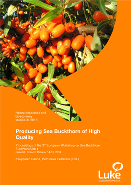 Producing Sea Buckthorn of High Quality