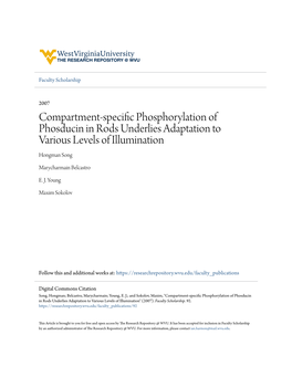 Compartment-Specific Phosphorylation of Phosducin In