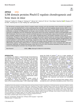 LIM Domain Proteins Pinch1/2 Regulate Chondrogenesis and Bone Mass in Mice