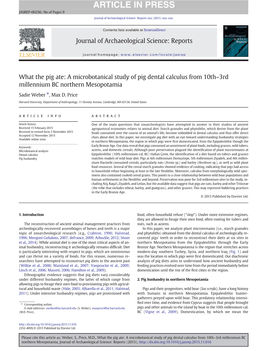 What the Pig Ate: a Microbotanical Study of Pig Dental Calculus from 10Th–3Rd Millennium BC Northern Mesopotamia