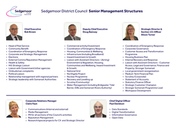 Senior Management Structures