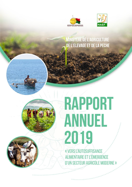 MAEP: Rapport Annuel 2019