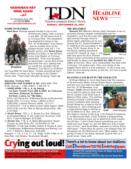 HEADLINE for Information About TDN, Call 732-747-8060