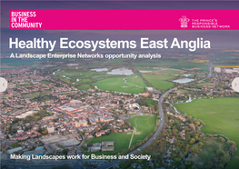 Healthy Ecosystems East Anglia a Landscape Enterprise Networks Opportunity Analysis