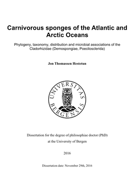 Carnivorous Sponges of the Atlantic and Arctic Oceans