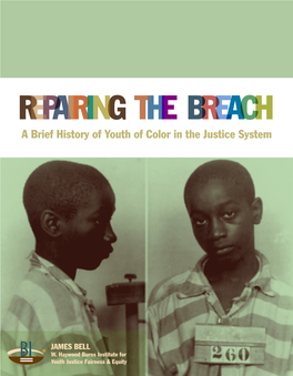 REPAIRING the BREACH: a Brief History of Youth of Color in the Justice System 1