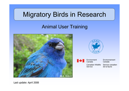 Migratory Birds in Research