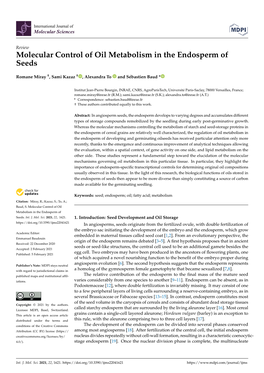 Molecular Control of Oil Metabolism in the Endosperm of Seeds