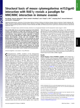 Structural Basis of Mouse Cytomegalovirus M152/Gp40 Interaction with Rae1γ Reveals a Paradigm for MHC/MHC Interaction in Immune