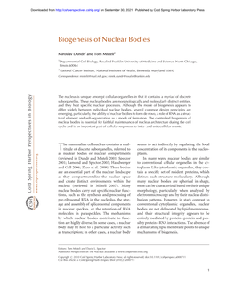 Biogenesis of Nuclear Bodies