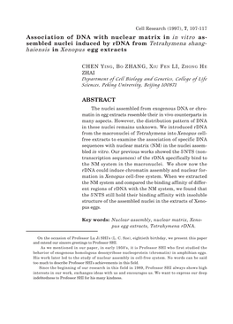 Association of DNA with Nuclear Matrix in in Vitro Assembled Nuclei