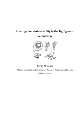 Investigations Into Stability in the Fig/Fig-Wasp Mutualism