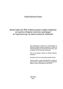 Oneida Espinosa Álvarez Spliced Leader (SL) RNA: Análises De