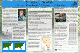 Smalltooth Sawfish in Coastal Waters