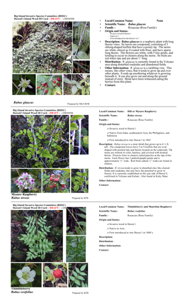 Mysore Raspberry Rubus Niveus Thimbleberry Rubus Rosifolius