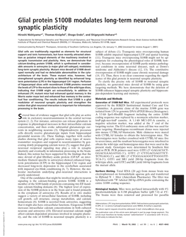 Glial Protein S100B Modulates Long-Term Neuronal Synaptic Plasticity