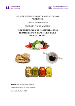 Microbiología De Las Hortalizas Fermentadas Y Beneficios De La Fermentación”