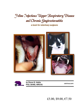 Feline Calicivirus Ulcer on Tongue Unilateral Conjunctivitis Typical of Early Chlamydophila Felis Infection Feline Chronic Lymphocytic Plasmacytic Gingivostomatitis