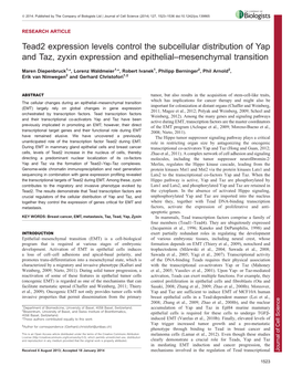 Tead2 Expression Levels Control the Subcellular Distribution Of