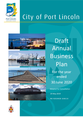 Annual Business Plan for the Year Ended 30 June 2020