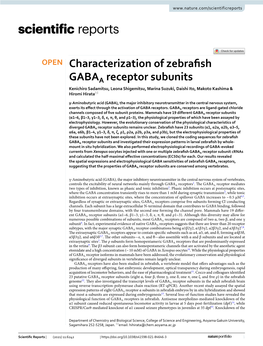 Characterization of Zebrafish GABAA Receptor Subunits
