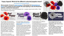 Poppy Appeal: What Do the Different Coloured Poppies Mean?