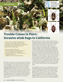 Invasive Stink Bugs in California