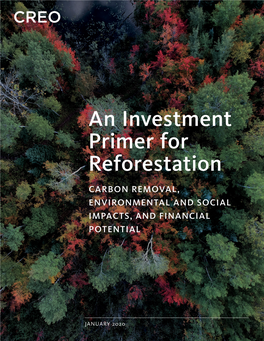 An Investment Primer for Reforestation CARBON REMOVAL, ENVIRONMENTAL and SOCIAL IMPACTS, and FINANCIAL POTENTIAL