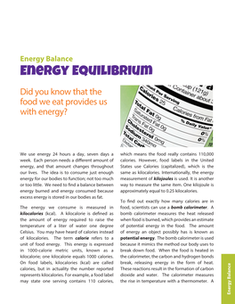 Energy Equilibrium Energy Balance Calorie Referstoa the Riseintemperature Withathermometer