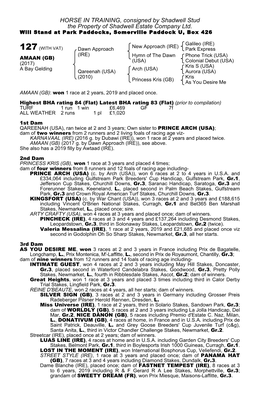 HORSE in TRAINING, Consigned by Shadwell Stud the Property of Shadwell Estate Company Ltd. Will Stand at Park Paddocks, Somerville Paddock U, Box 426