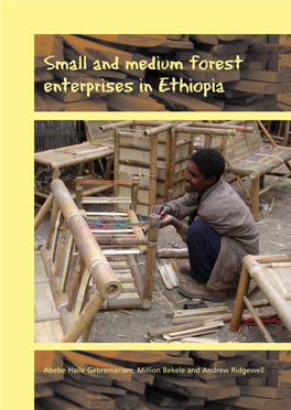 Small and Medium Forest Enterprises in Ethiopia