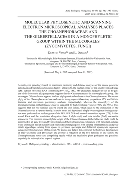 Molecular Phylogenetic and Scanning Electron Microscopical Analyses