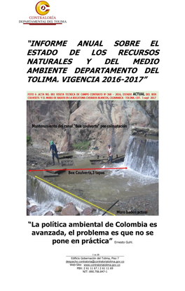 Informe Anual Sobre El Estado De Los Recursos Naturales Y Del Medio Ambiente Departamento Del Tolima