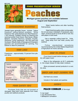Peachesmichigan-Grownea Cpeacheshes Are Available Between August and September