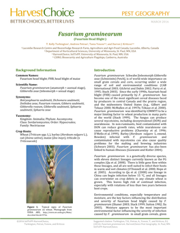 Fusarium Graminearum ~4(Final)-1
