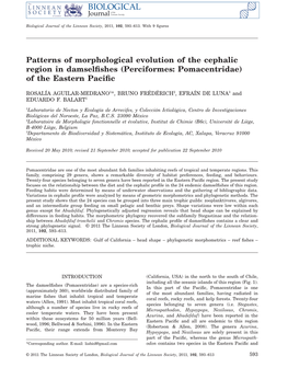 Perciformes: Pomacentridae) of the Eastern Paciﬁc