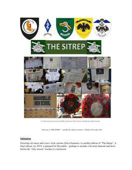 “The Sitrep”. a Final Edition, for 2019, Is Planned for December – Perhaps to Include a Bit More Humour and News Before the “Silly Season” Reaches Its Conclusion