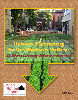 Urban Farming in the Hudson Valley: a Growing Movement