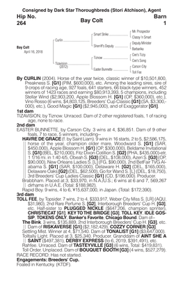 Bay Colt Barn 1 Hip No