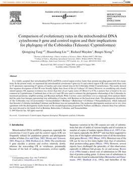 Comparison of Evolutionary Rates in the Mitochondrial DNA Cytochrome B Gene and Control Region and Their Implications for Phylog