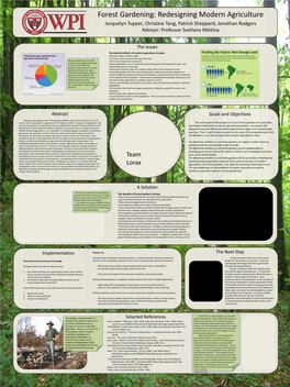 Forest Gardening: Redesigning Modern Agriculture Jacquelyn Tupper, Christine Tang, Patrick Sheppard, Jonathan Rodgers Advisor: Professor Svetlana Nikitina