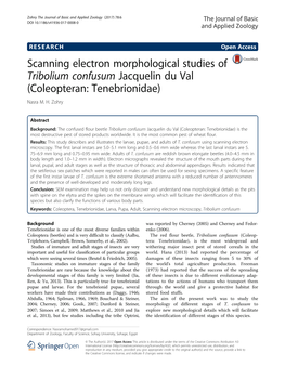 Scanning Electron Morphological Studies of Tribolium Confusum Jacquelin Du Val (Coleopteran: Tenebrionidae) Nasra M