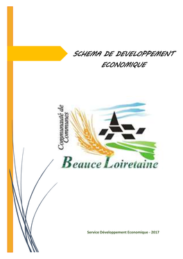 Schema De Developpement Economique