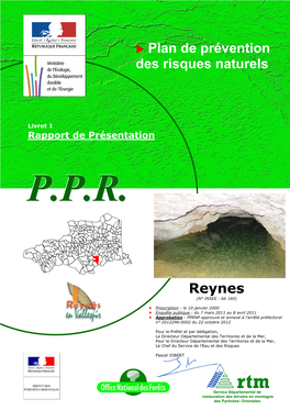 Plan De Prévention Des Risques Naturels Reynes