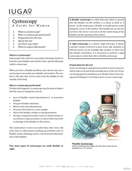 Cystoscopy Into the Bladder Via the Urethra, It Is About As Thick As a a Guide for Women