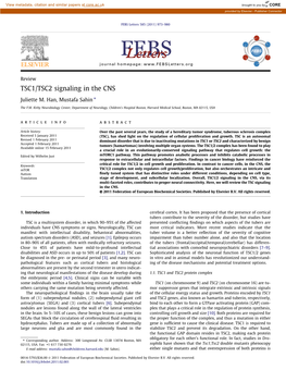 TSC1/TSC2 Signaling in the CNS ⇑ Juliette M