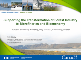 P07 Supporting the Transformation of Forest Industry to Biorefineries Soucy