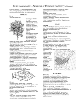 Celtis Occidentalis