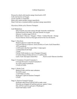 Cellular Respiration Process by Which Cells Transfer Energy from Food To